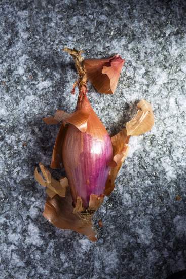 La Bouitte - Shallot