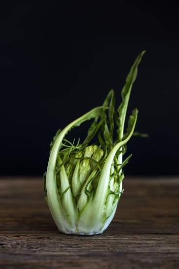 La Bouitte - Puntarelle