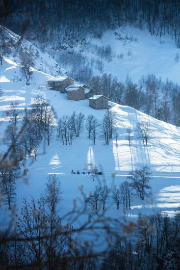 La Bouitte - sled dogs