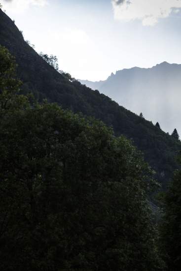 La Bouitte - Cochet Forest