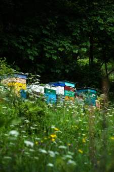 La Bouitte Saint Martin beehive