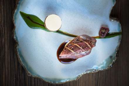 La Bouitte - wood pigeon